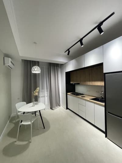 Аренда 1-комн. кв. 60 м² — Саракулька