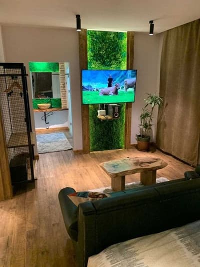 Аренда 1-комн. кв. 48 м² — массив Минор