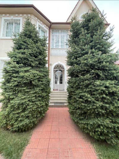 Продажа 6-комн. коммерция 450 м² — Буюк Ипак Йули