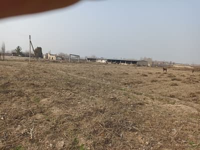 Продажа дом — улица Эркин