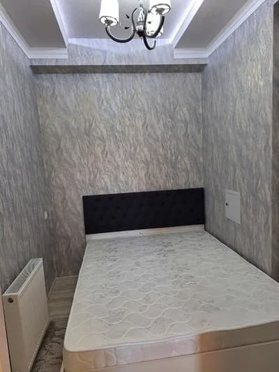 Аренда 1-комн. кв. 43 м² — улица Шота Руставели