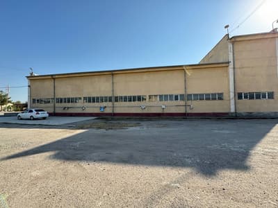 Аренда кв. 816 м² — улица Олтин Топган