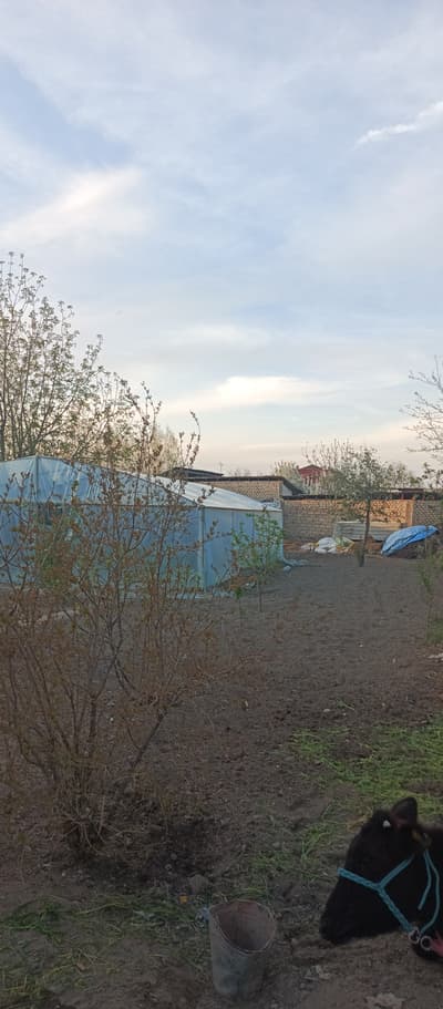 Продажа 6-комн. коммерция 10 м² — улица Офаринкент, 22