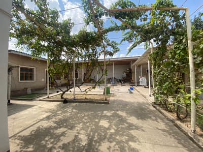 Продажа 5-комн. коммерция 9999 м² — населённый пункт Аккавак