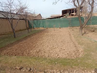 Продажа дом — населённий пункт Толеби