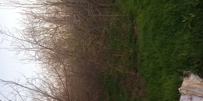 Продажа дом — улица Ункургон