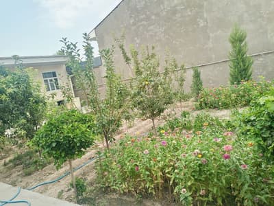 Сйргли район уй сотилади ховли зор жойда жойлашган шошлилила опколишга