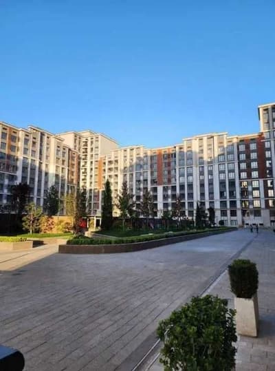 ЖК Koh-Ota 2 комнатная 53,9м2 Коробка Себзар ор-р Лабзак