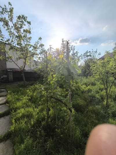 Продам Дом 2ком 6,5 соток. Чартак Сергели. Янгихаетском районе