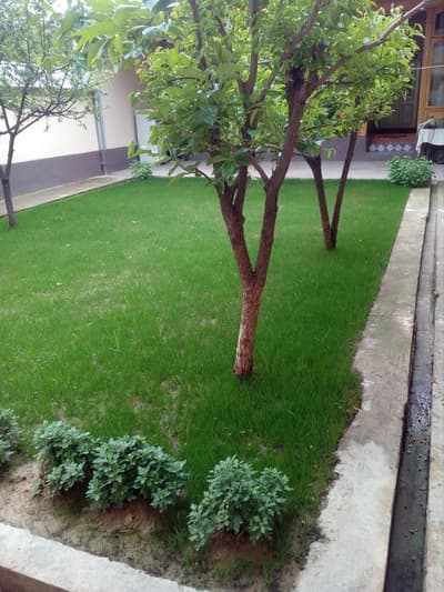 ховли сотилади 3 сотх