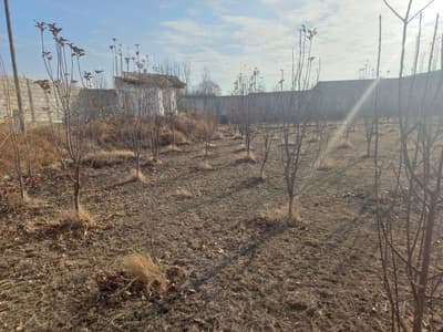 24 сотых уй жой сотлади