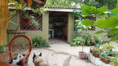 СРОЧНО!!!Продаётся дом (дача), Пскентский район