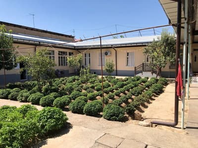 Shtapda xovli sotiladi